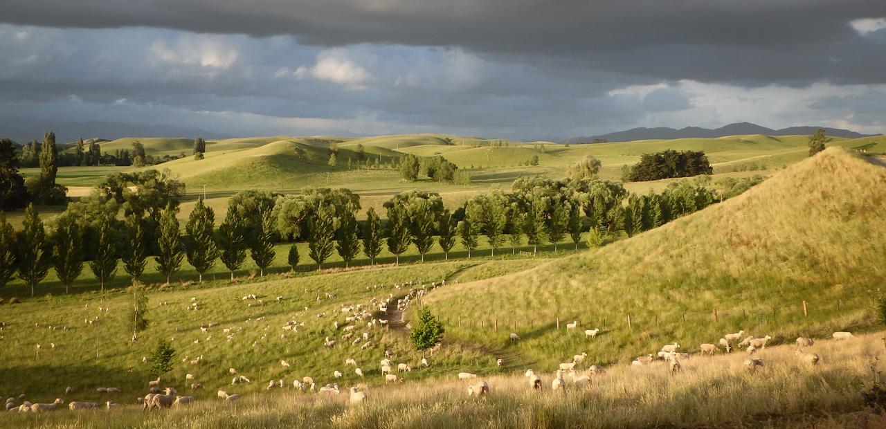 Tree House Lodge Bed & Breakfast Cheviot エクステリア 写真