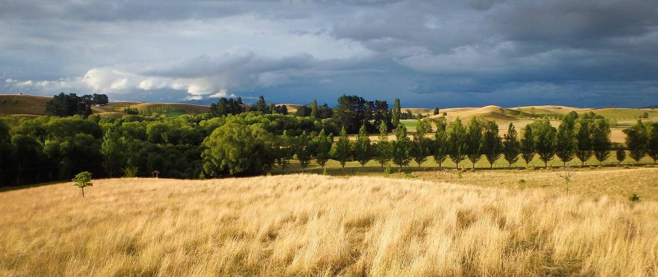 Tree House Lodge Bed & Breakfast Cheviot エクステリア 写真