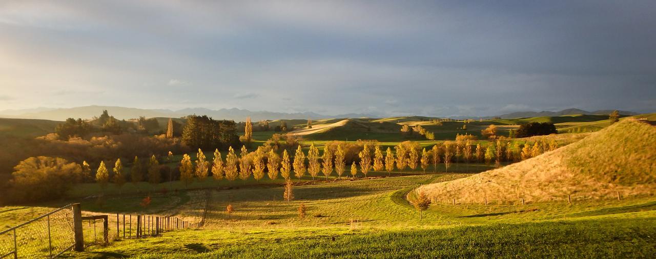 Tree House Lodge Bed & Breakfast Cheviot エクステリア 写真