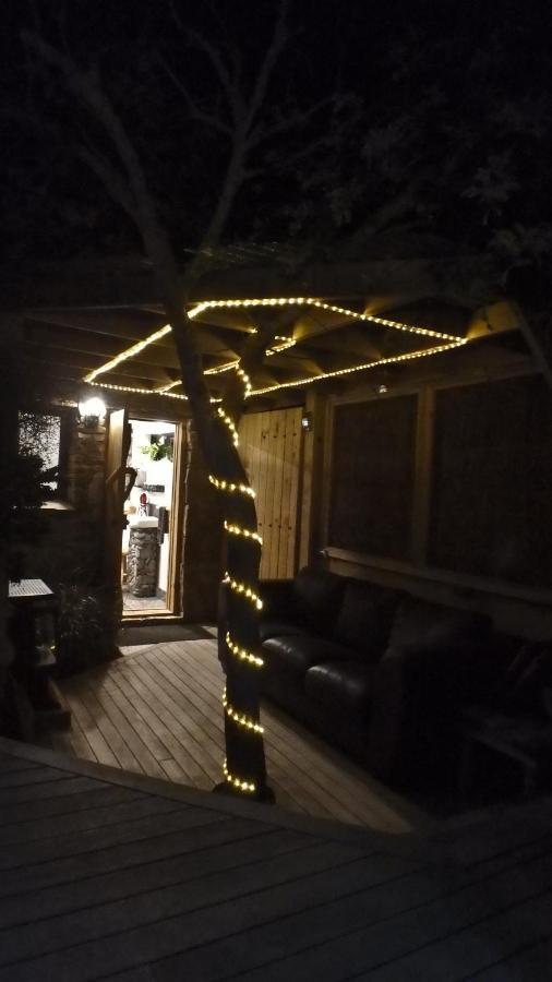Tree House Lodge Bed & Breakfast Cheviot エクステリア 写真
