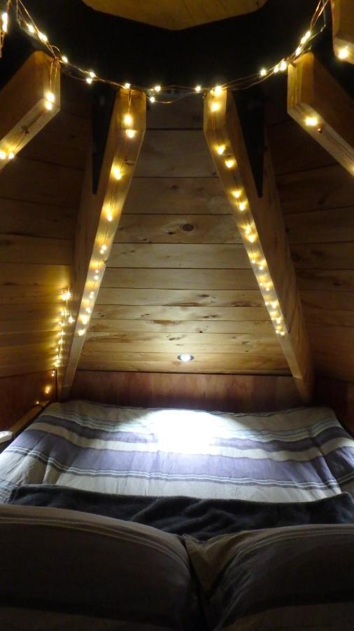 Tree House Lodge Bed & Breakfast Cheviot エクステリア 写真