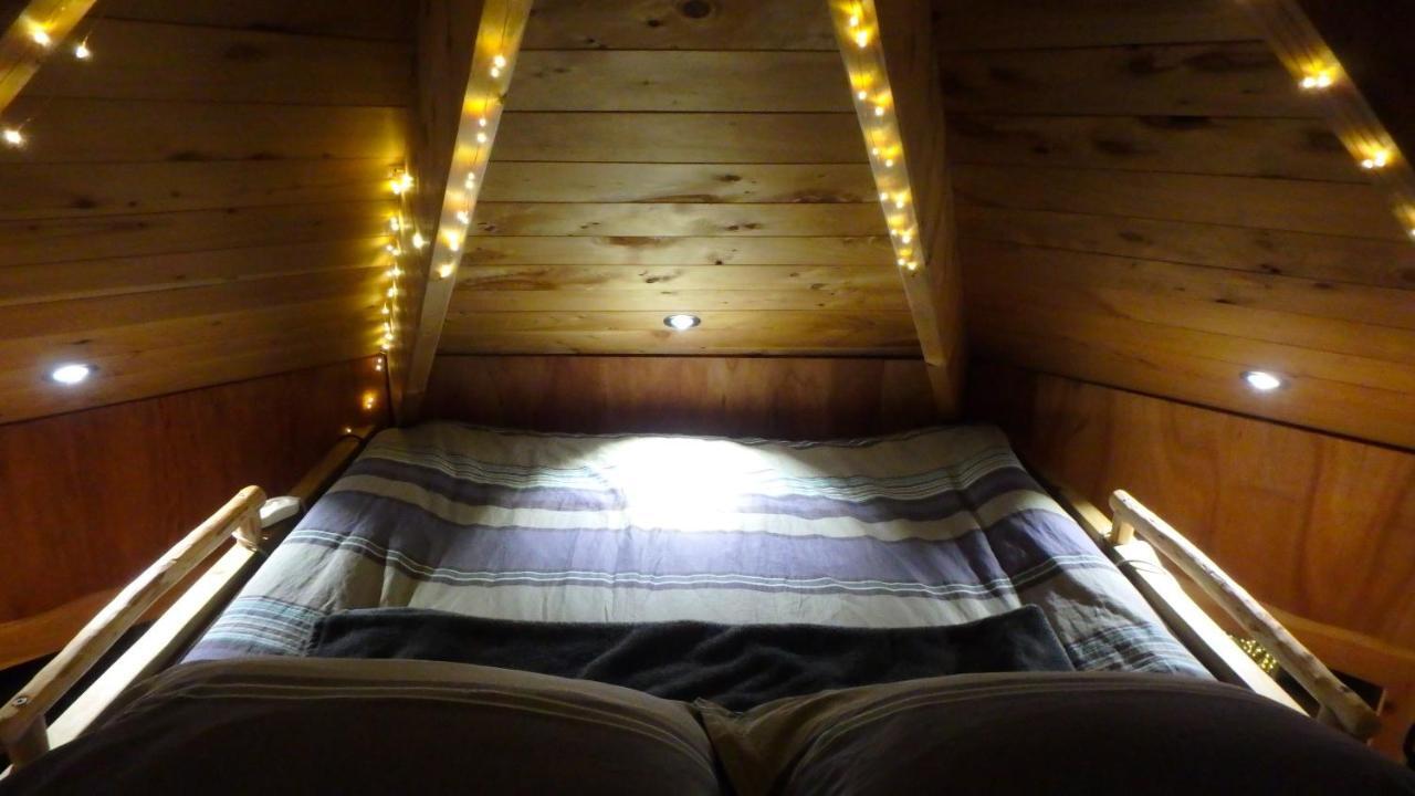Tree House Lodge Bed & Breakfast Cheviot エクステリア 写真